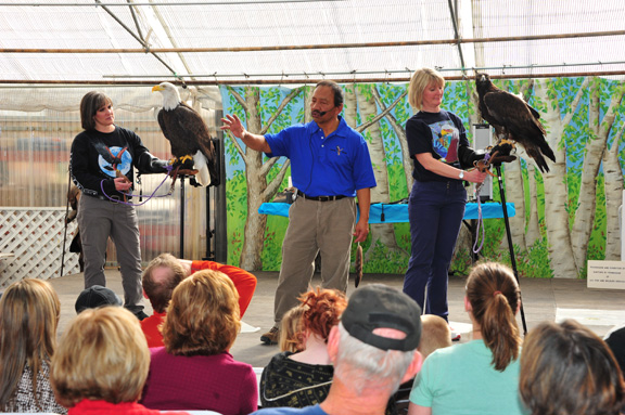 Birds of Prey Lecture