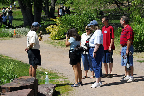 Up Close and Personal