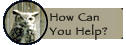 How Can I Help?