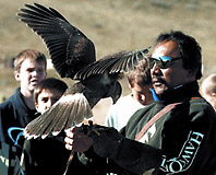 Master Falconer Kin Quitugua